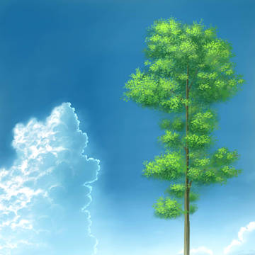 夏の空