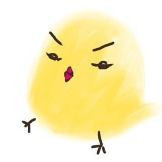 自信を持ってひよこだと言い張りますがなにか。