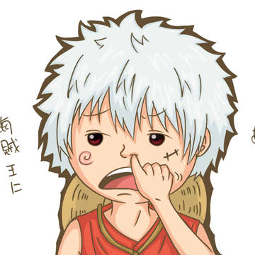 銀ちゃん?! ルフィ?!