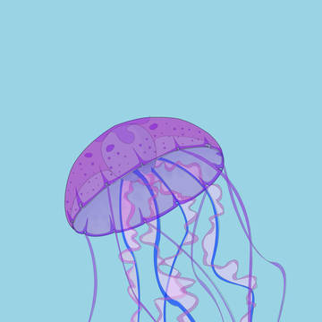 jellyfish