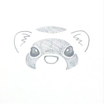 フェレット