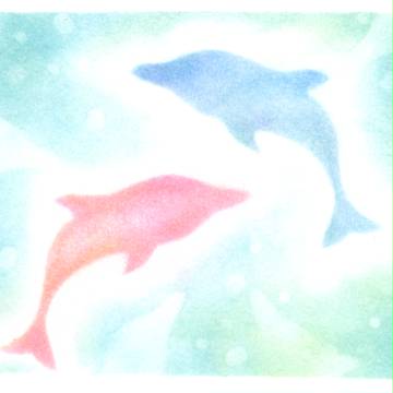 イルカ