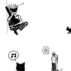 The Singer and the Stray Cat
