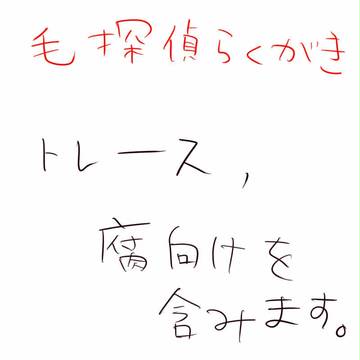 毛探偵落書きつめ