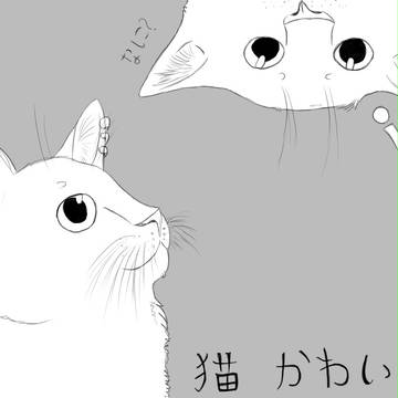 ねこ。
