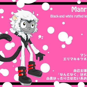 エリマキキツネザル