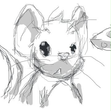 transformice