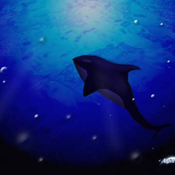 海のハンター