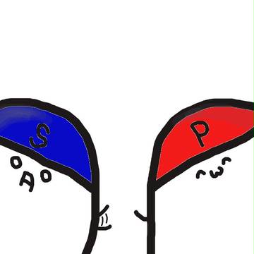 塩胡椒