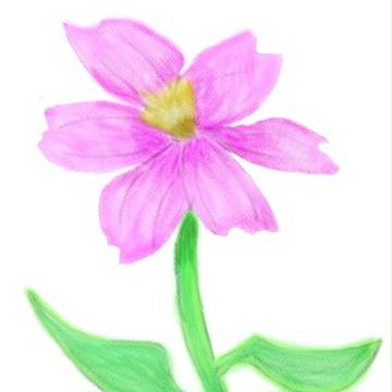 花⑷