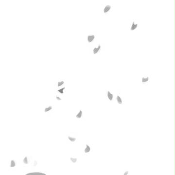 さくらのはなびら