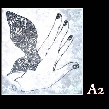 A2