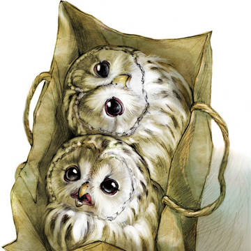 「ふくろのふくろー」