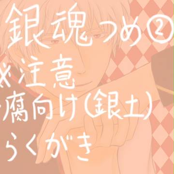 【腐向け有】銀魂（主に銀土）落書きつめ②