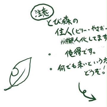 チームけっせいしてみた。