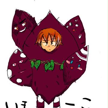 いもーこ