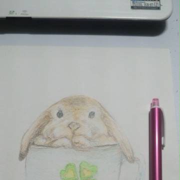 うさぎinカップ