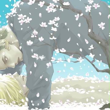 花の中、ゾロサン