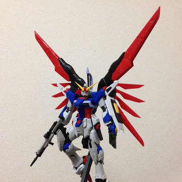 RGディステニーガンダムのレビュー