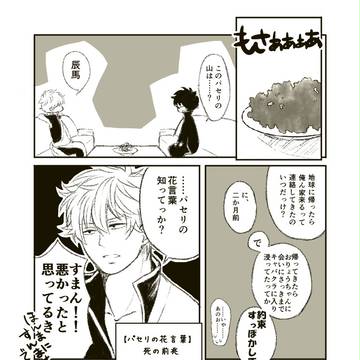 【坂銀】花言葉