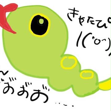 キャタピー