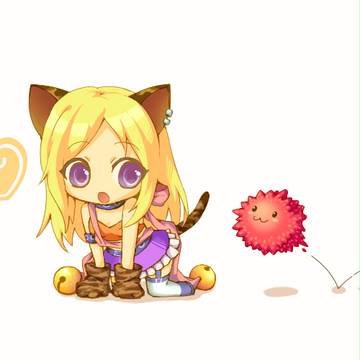 ぬこー