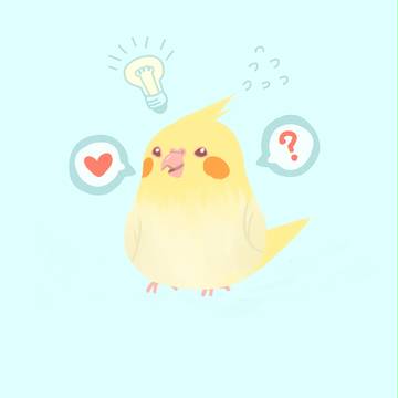 puchu ///////