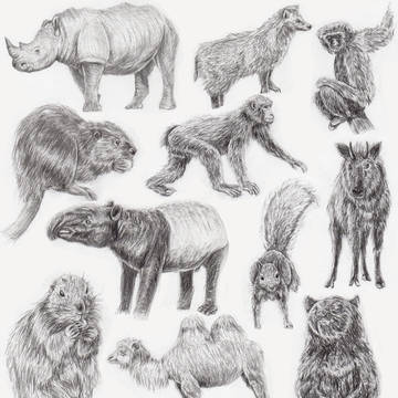 動物スケッチ_1
