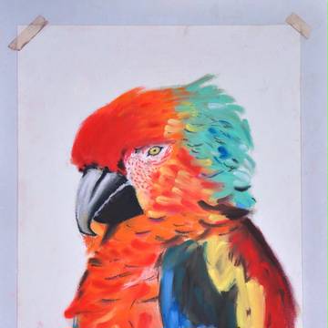 Parrot