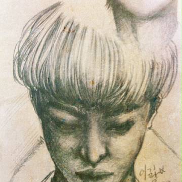 sketch
