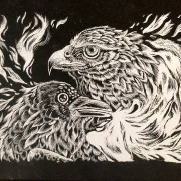 鷹