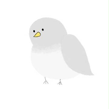 小鳥