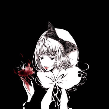 赤い花