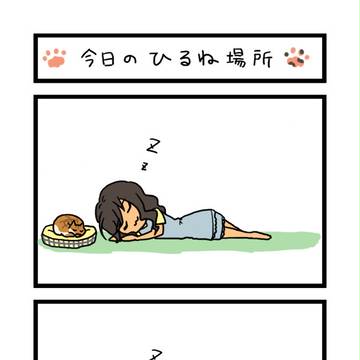 今日のひるね場所