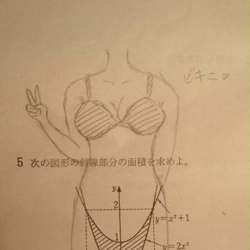 求めたくなる面積