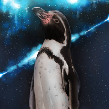 ペンギンギャラクシー
