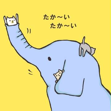 子猫とぞう