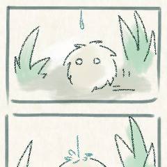 梅雨ですね。