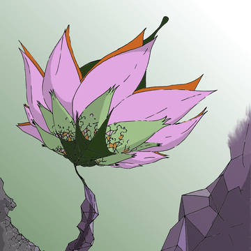小花