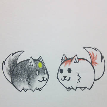 はくろう かげろう