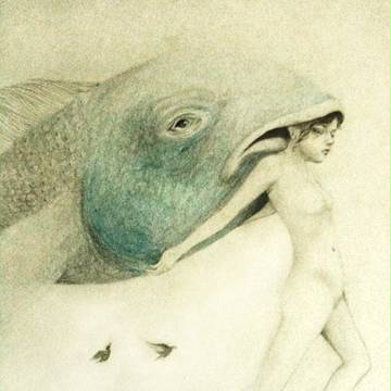 Flying with the Fish