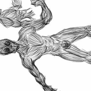 muscle practice