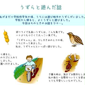 うずらと遊んだ話
