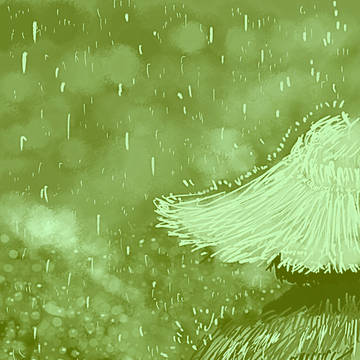 SUMMER RAIN - 夏の雨
