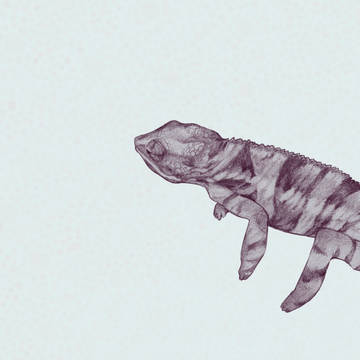のそり