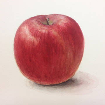 水彩画・りんごの細密描写