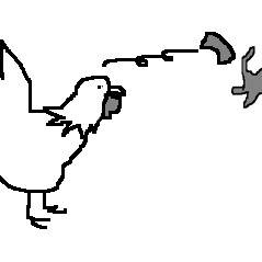 にわとり４