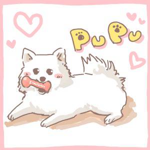 PUPU
