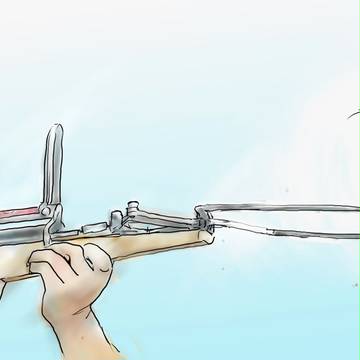 ニュートン銃・ハム