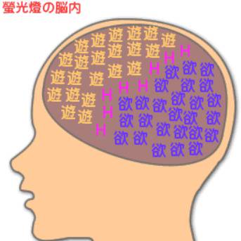 エンジュメイデンで脳内メーカー